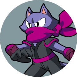Ninja Cat Eiji
